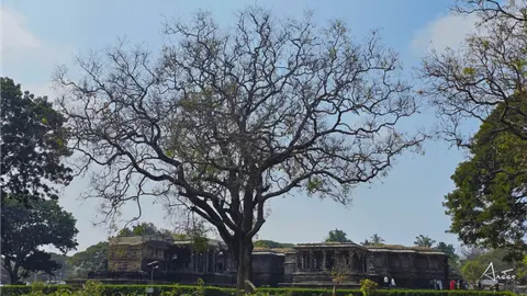 hoysaleswara.temple.p9