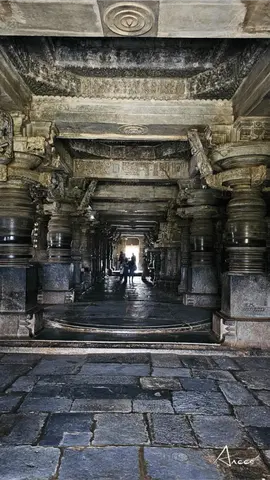 hoysaleswara.temple.p4