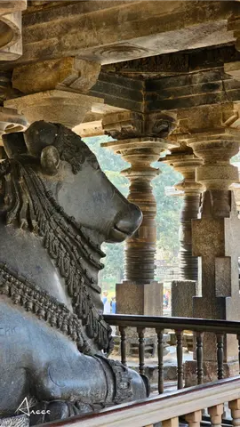 hoysaleswara.temple.p8
