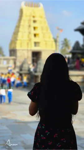chennakeshava.temple.p6