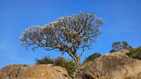 chandragiri.betta.shravanabelagola.p7